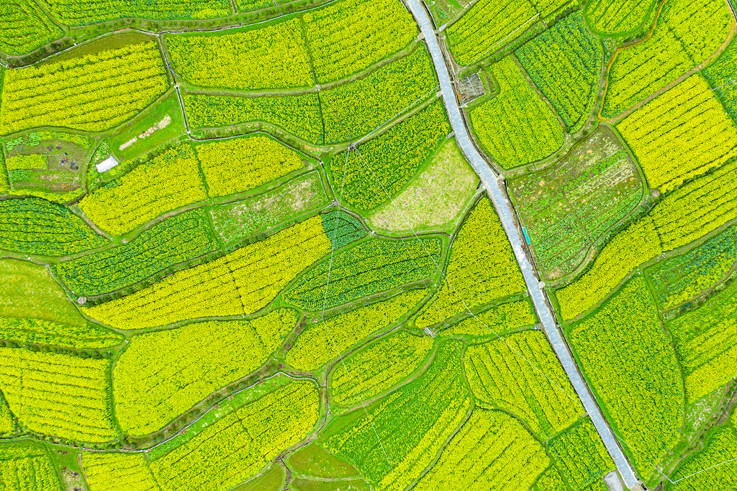 Establishing Leadership in Sustainability: Key Takeaways for Brands