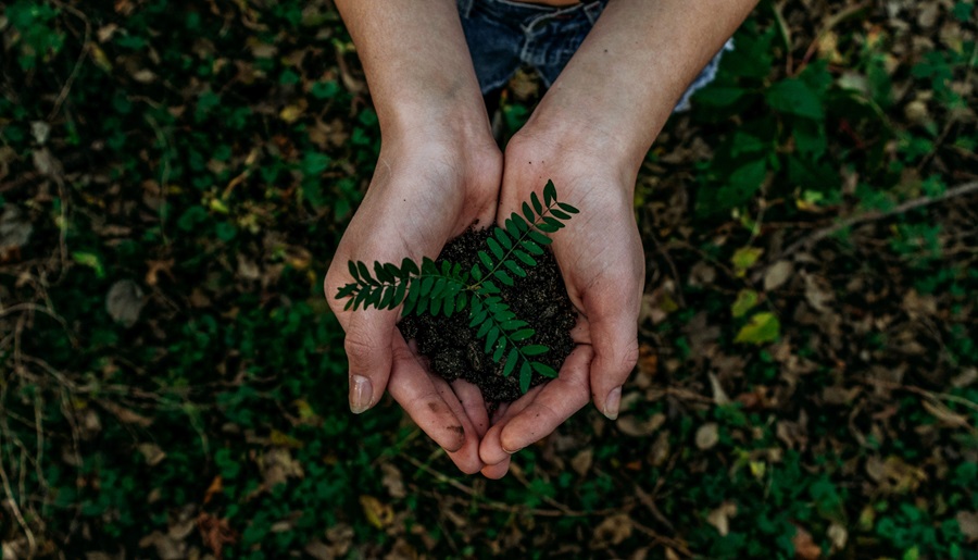 Latam-sustainability