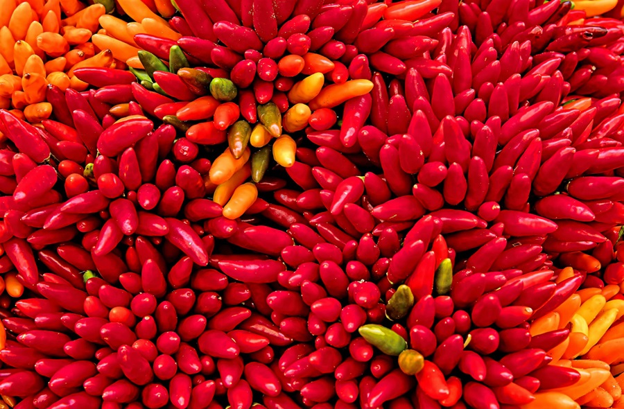 chillies