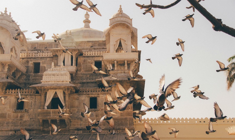 india