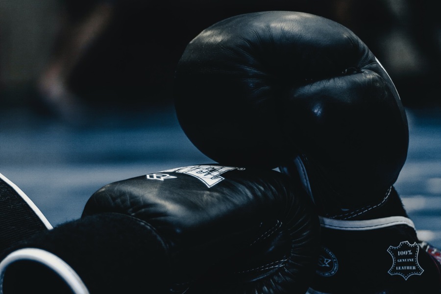 Boxing gloves