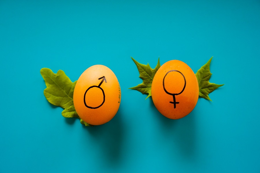 gender equality