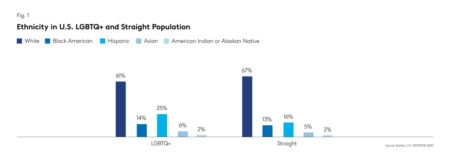 US Ethnicity and LGBTQ+