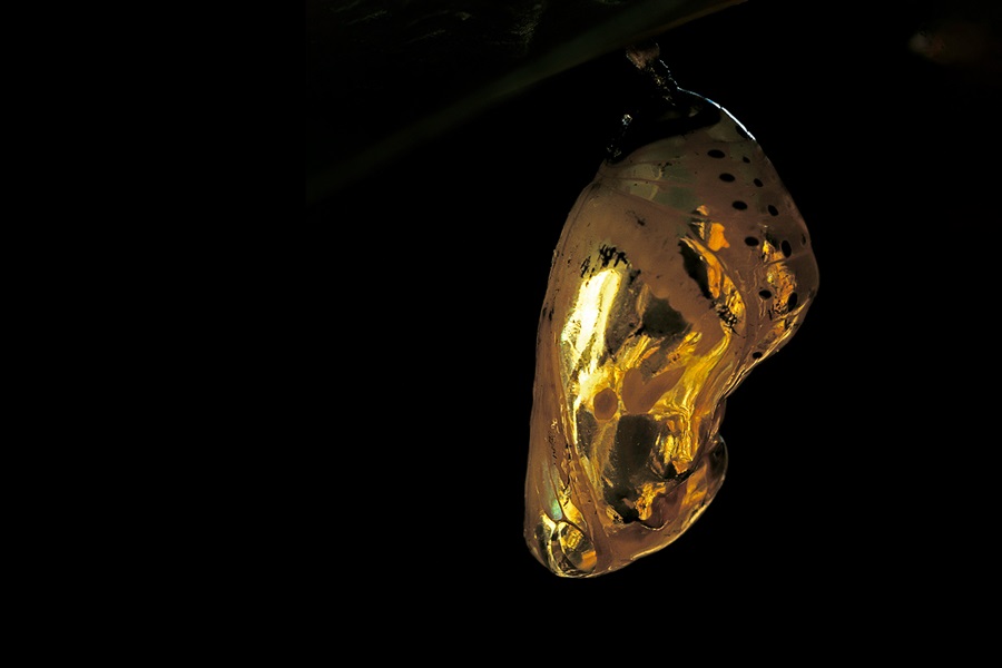 Abstract image