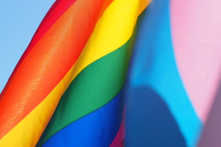 rainbow flag lgbtqi