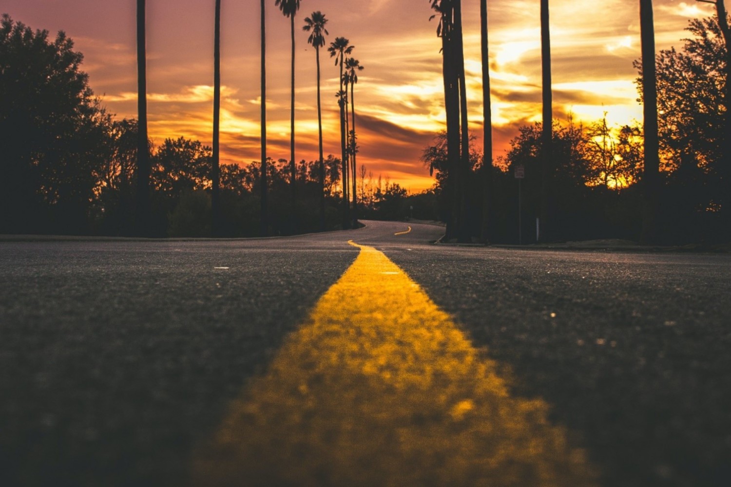 Road at sunset