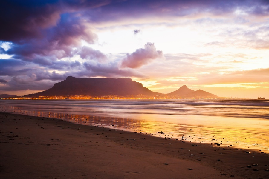 south africa brandz