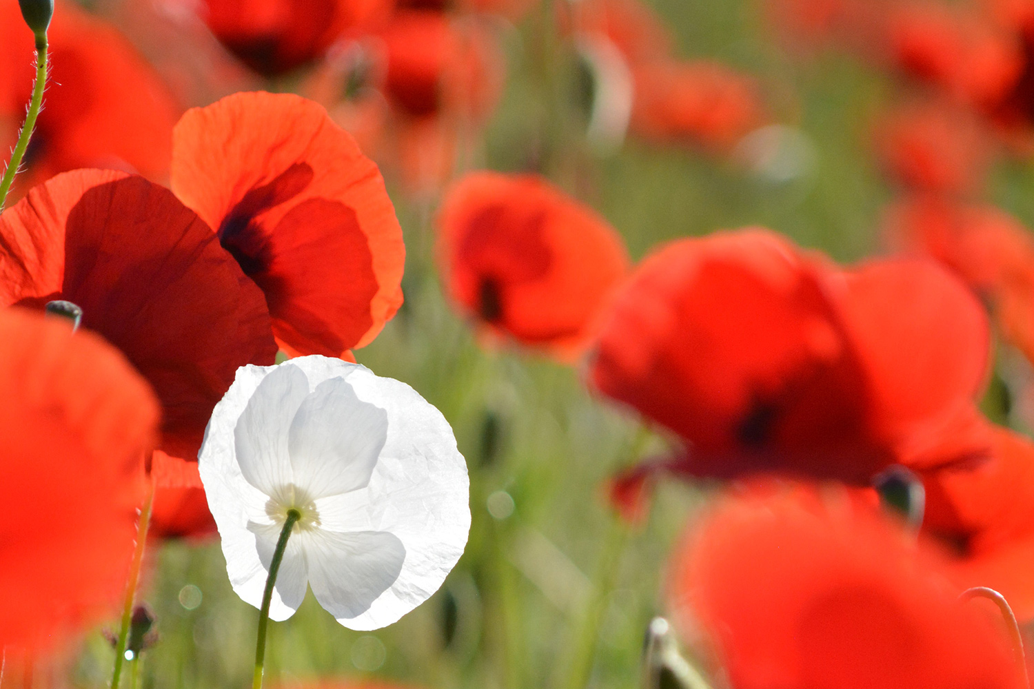 Get an equity booster How Meaningful Difference supercharges growth