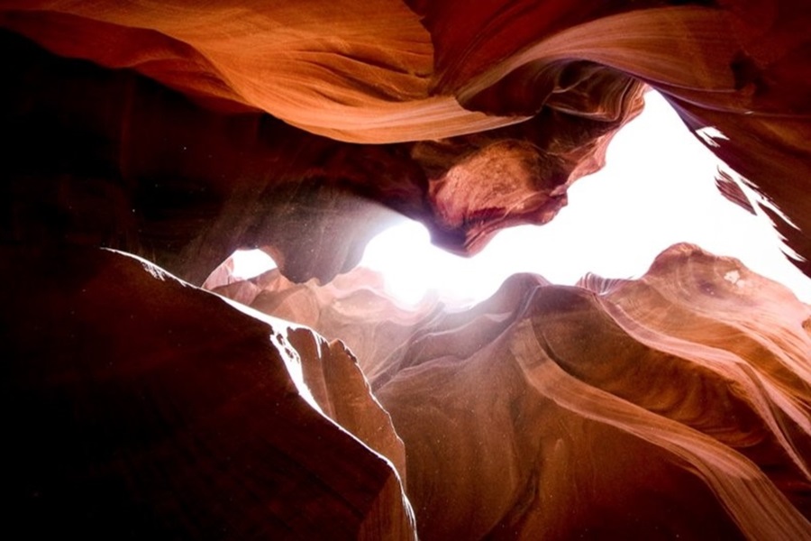 value action gap sustainability