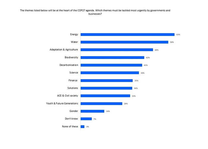 cop 27 themes to address by business