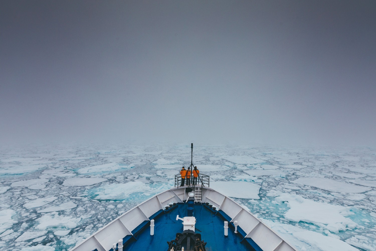 COP 27 brand actions