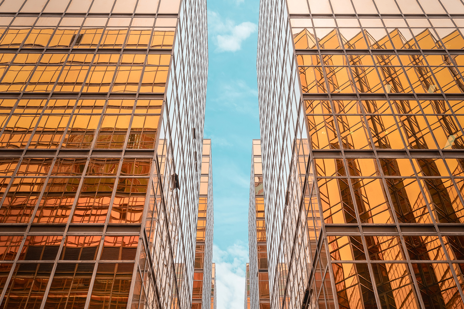 Kantar Google Digital Marketing Org of the Future