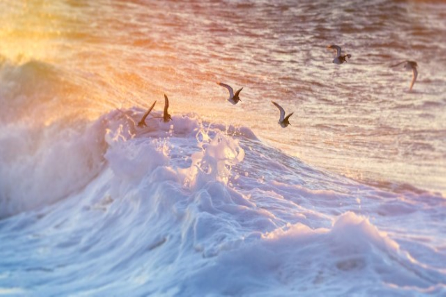 Seizing the opportunity