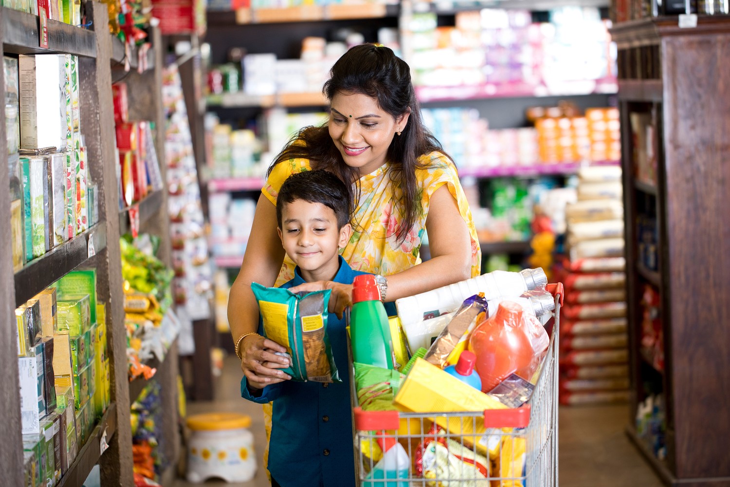 india fmcg pulse q1 2024