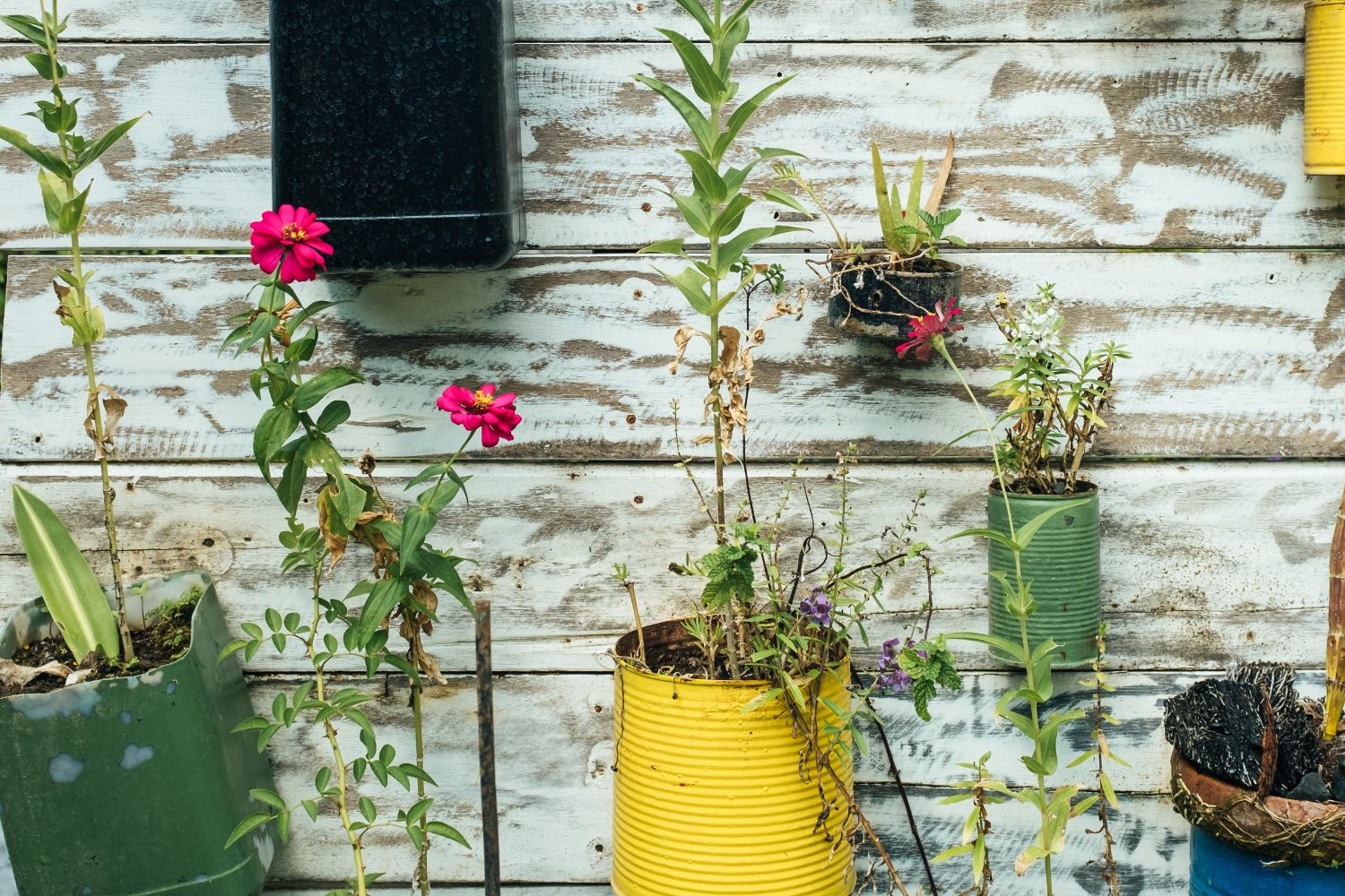 future of innovation