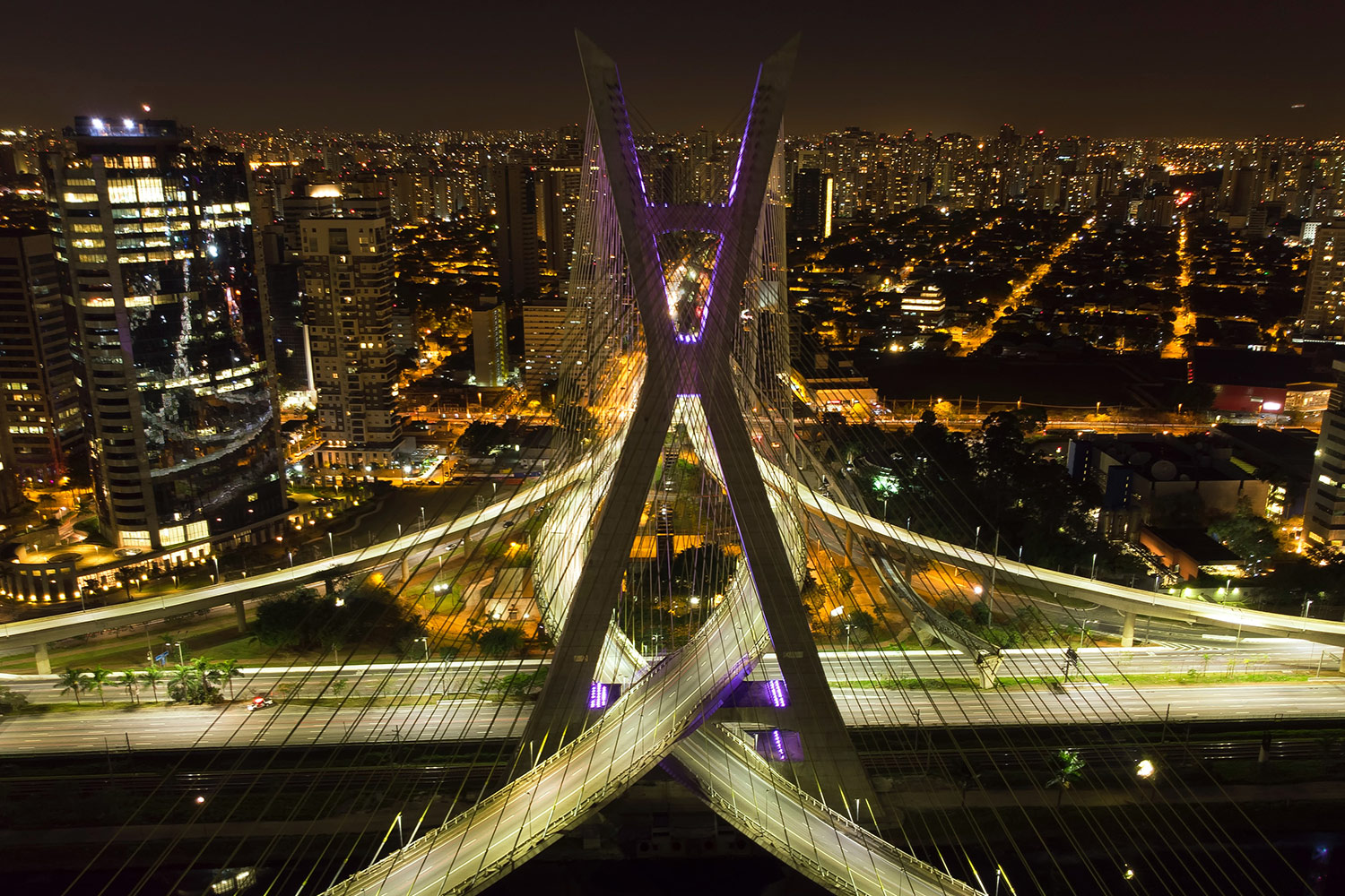 Kantar BrandZ Most Valuable Brazilian Brands Infographic