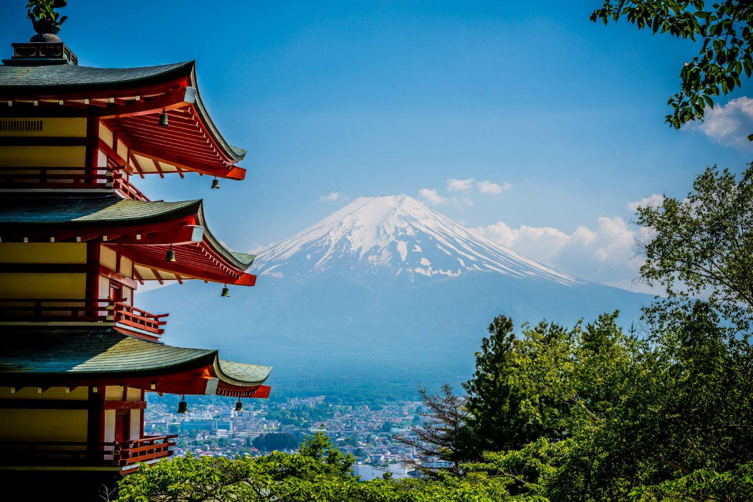 Поездка в японию 2024. Фудзи Сакура храм. КОВАГОЭ Япония. Химедзи Фудзи. Японский пейзаж.