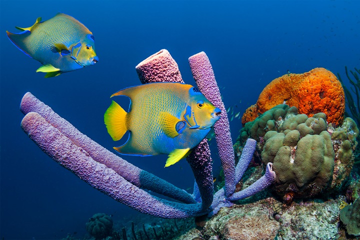 Building effective sustainability marketing in 2026 - Watch the webinar on demand