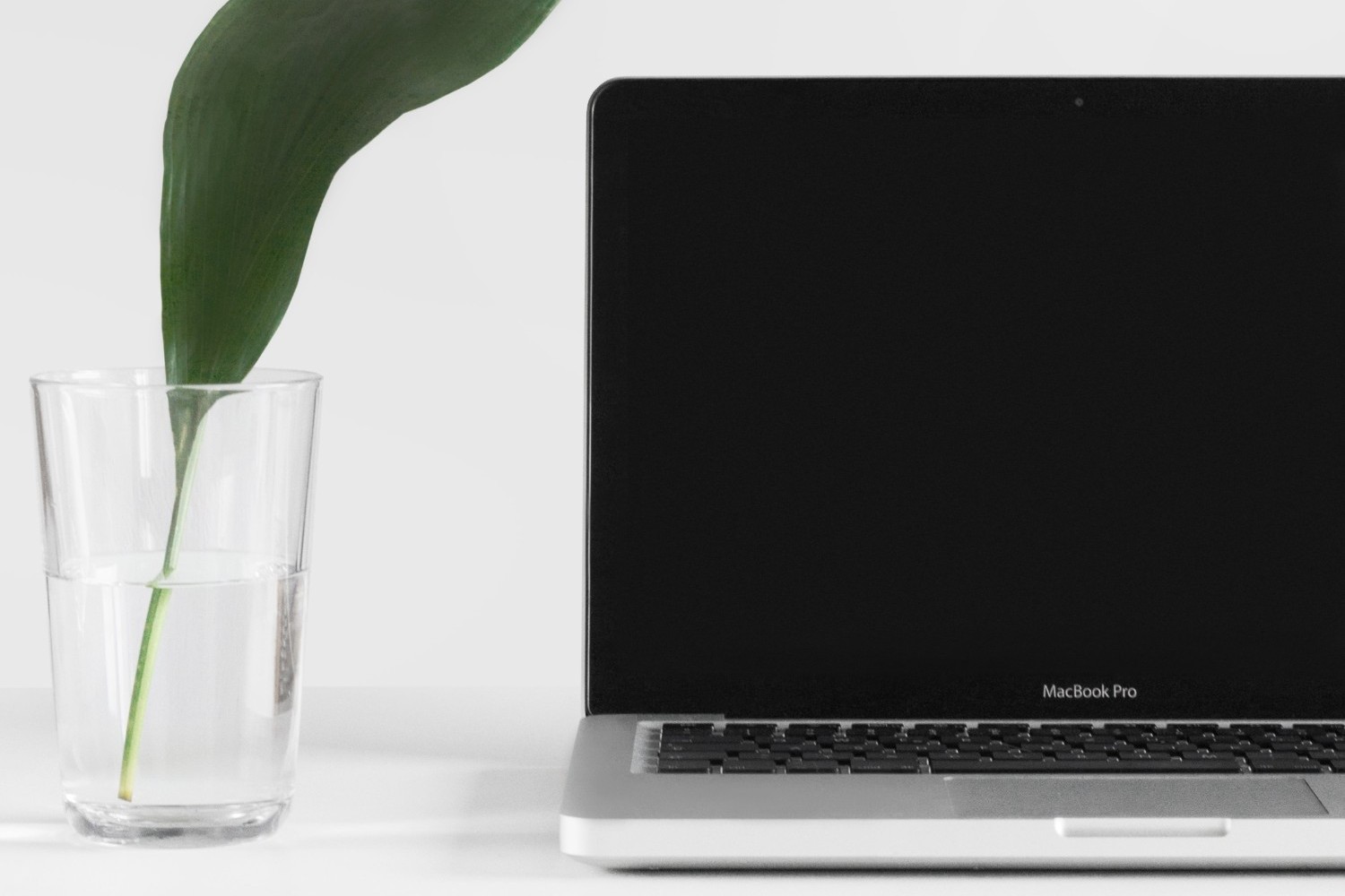 webinar