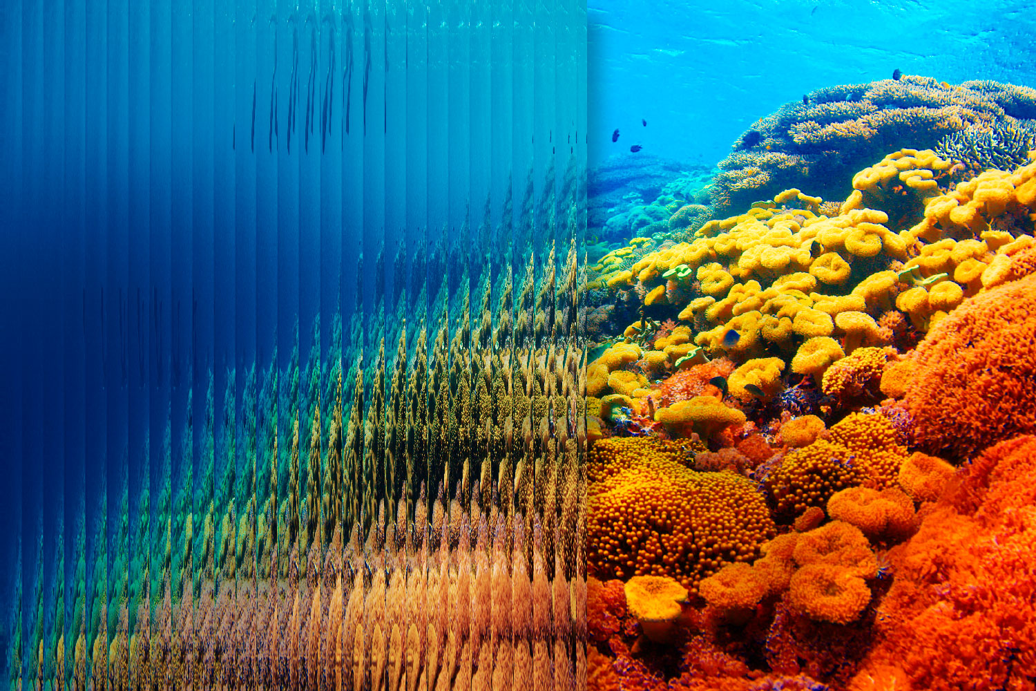 Building effective sustainability marketing in 2026