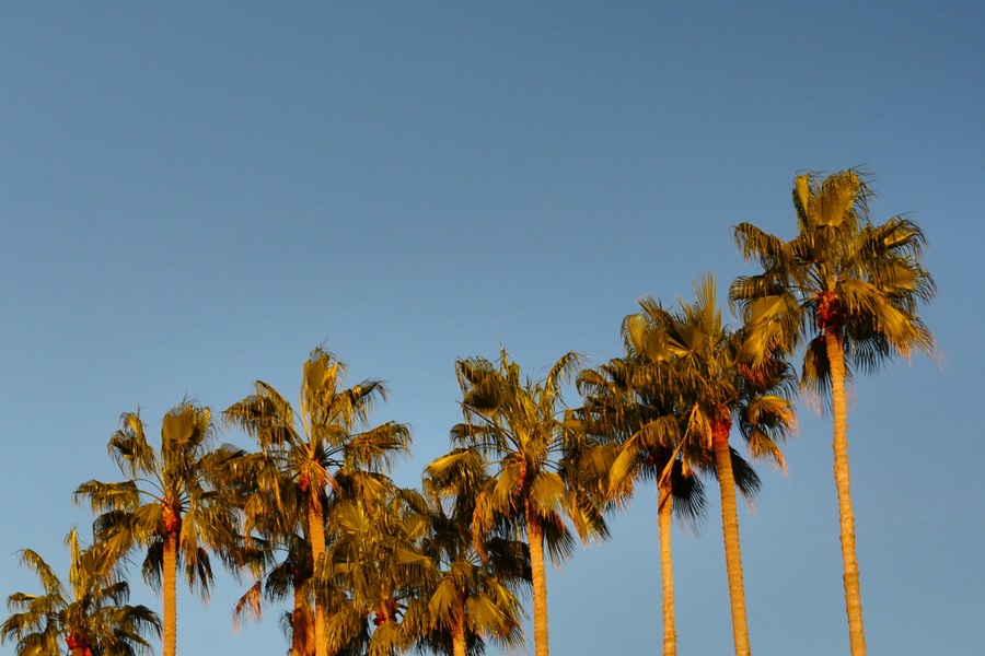cannes
