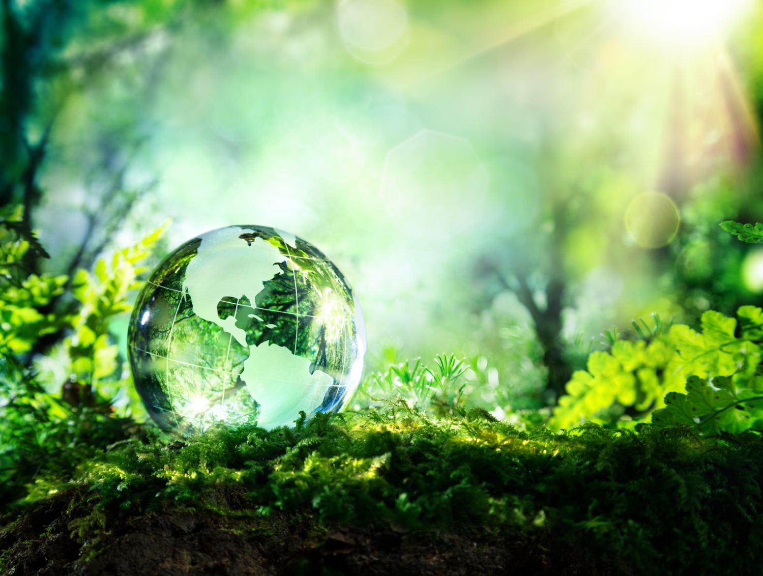 A glass globe sat on some moss in a forest like setting. 