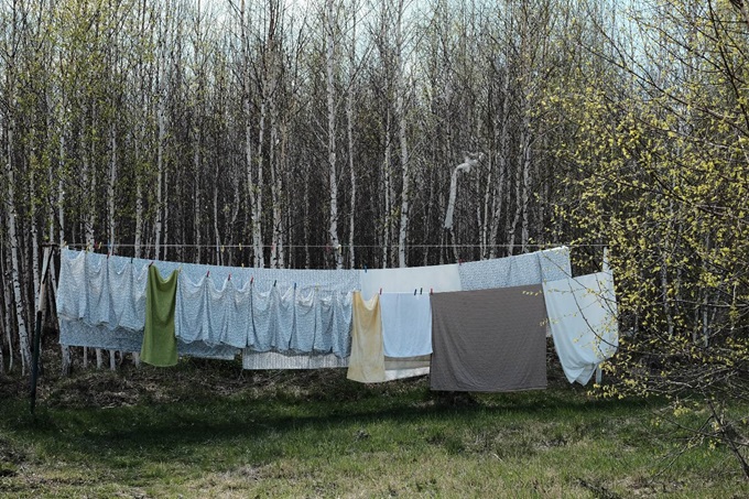 unilever laundry case study