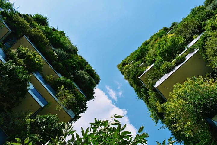 Two buildings covered in greenery
