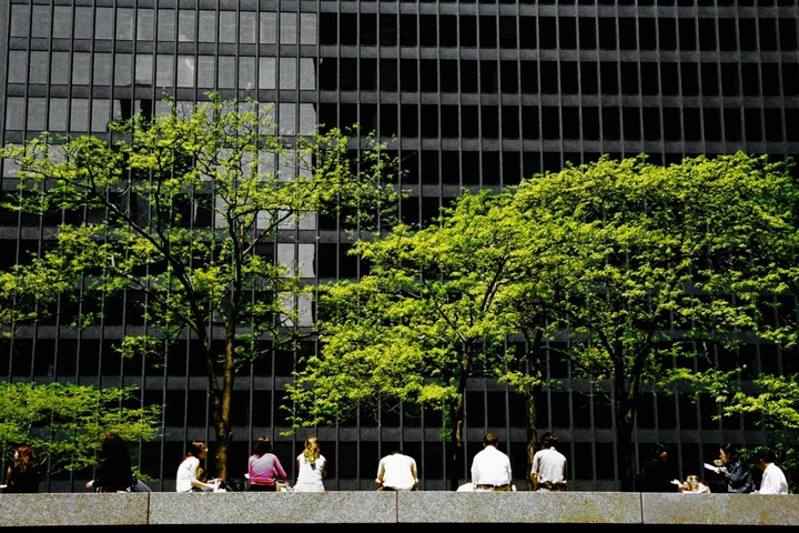 People sat by trees outside an office