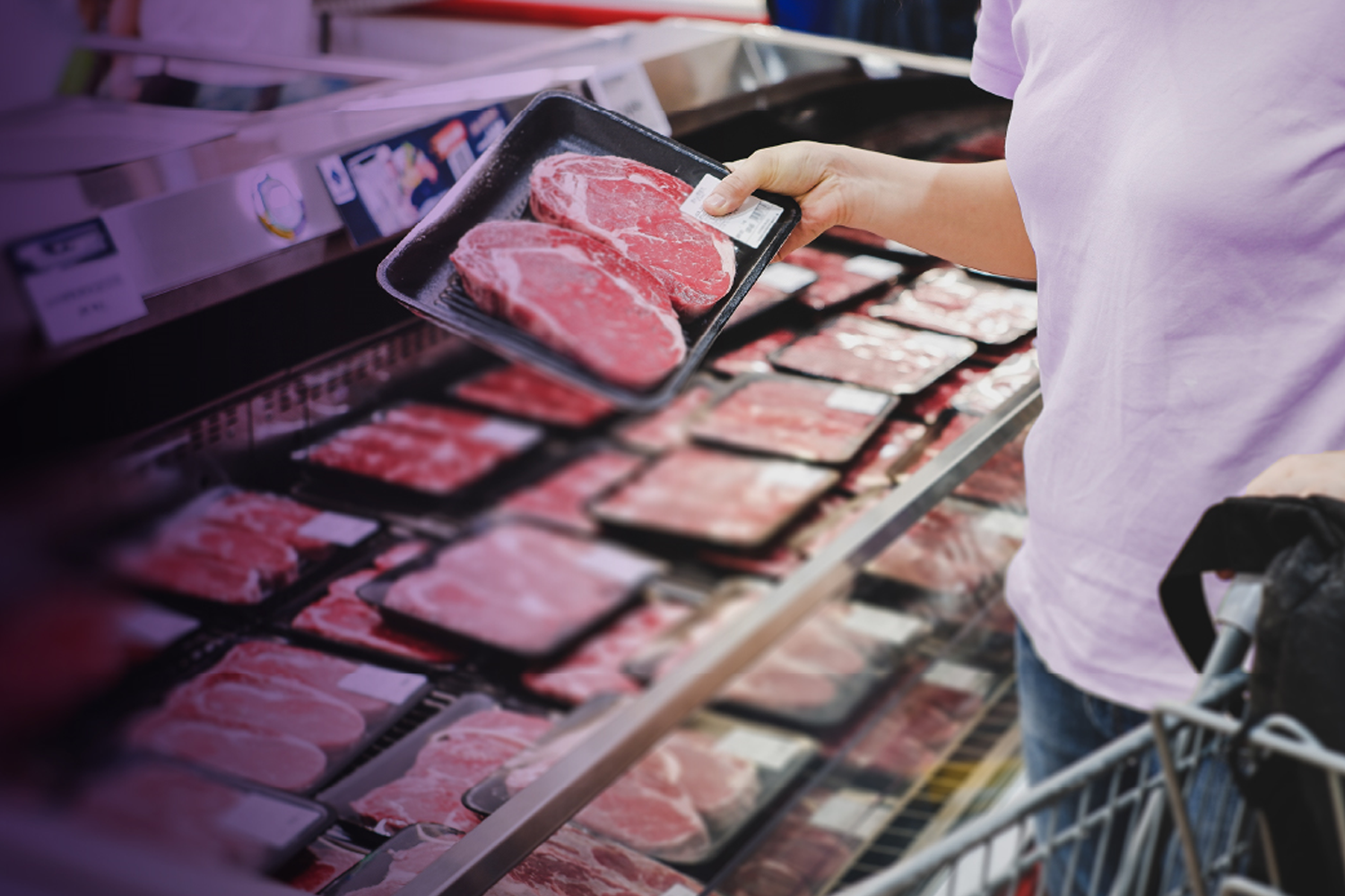 consumo de proteinas