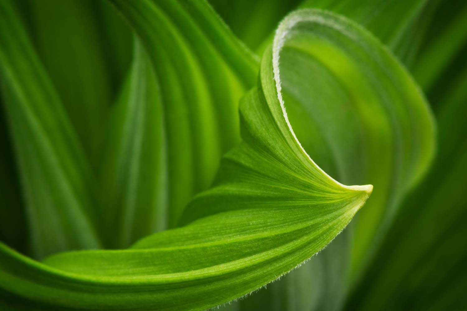 Global Sustainability Sector Index 2022