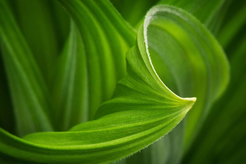 Global Sustainability Sector Index 2022