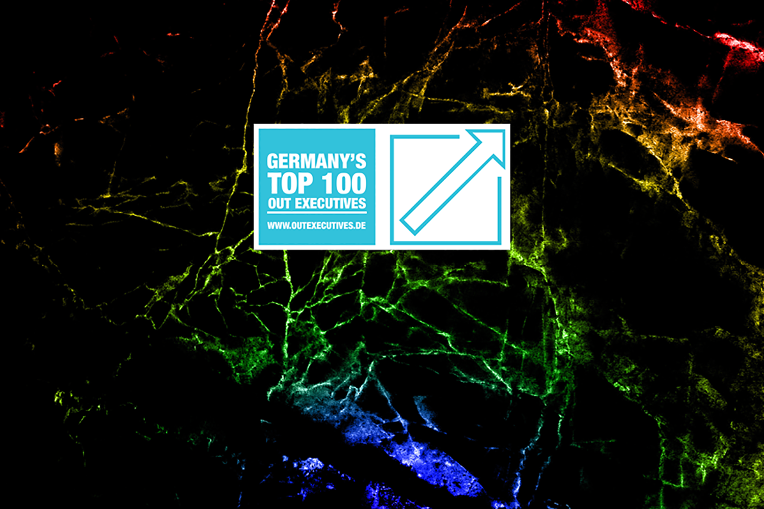 Germany's Top 100 Out Executives