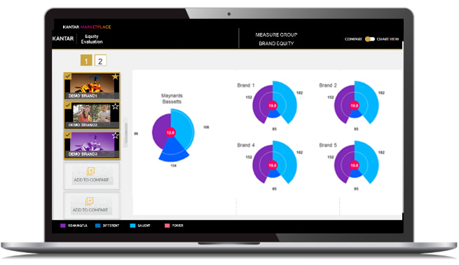 Brand Equity Evaluation - Screenshot