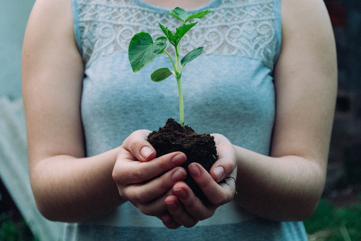 mujer sostiene una raíz de una planta