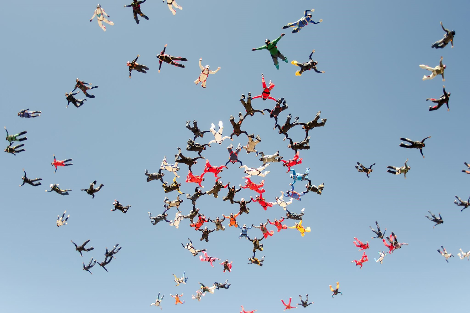 L'Observatoire du Management