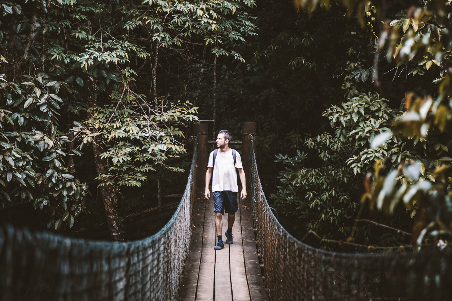 la jungle des labels