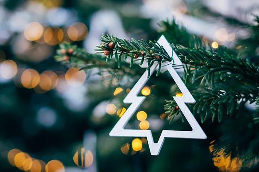 L'achat de sapins pour les Fêtes de Noël 2019