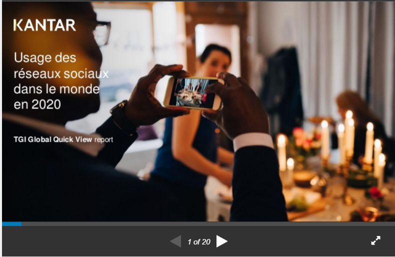 TGI rapport usage reseaux sociaux