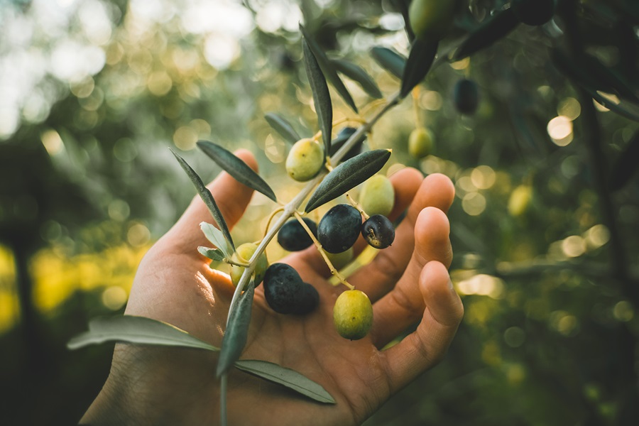 olives