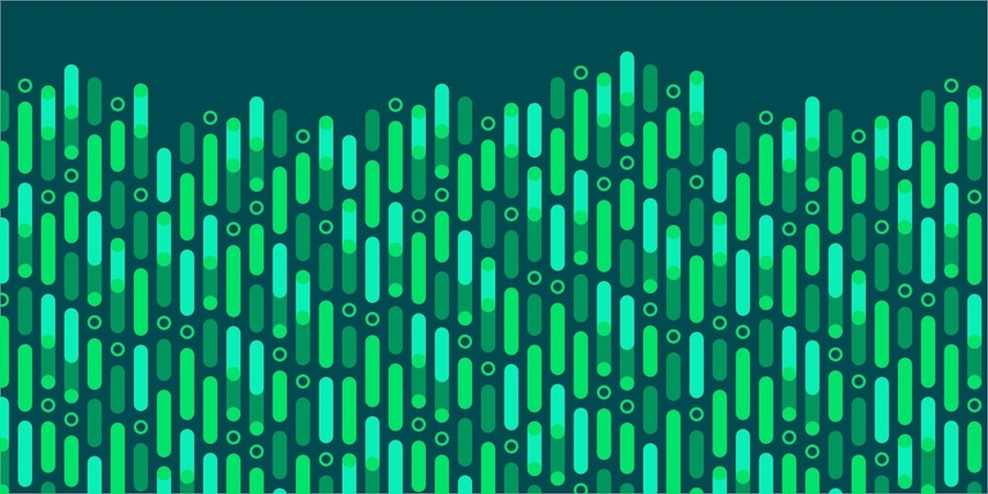 TurtlWhatthefrenchchapter