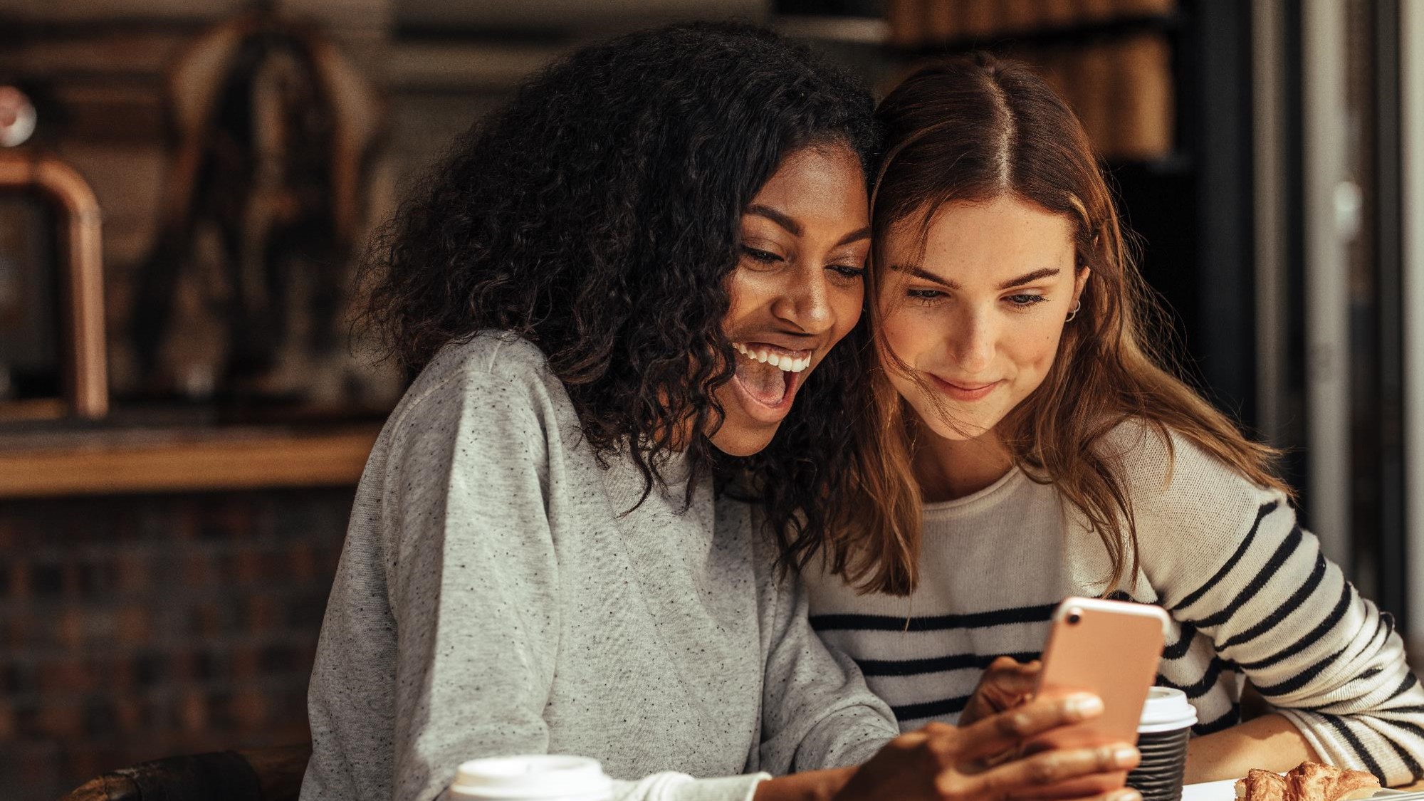 TurtlWhatthefrenchchapter