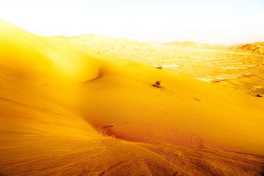 Développement durable