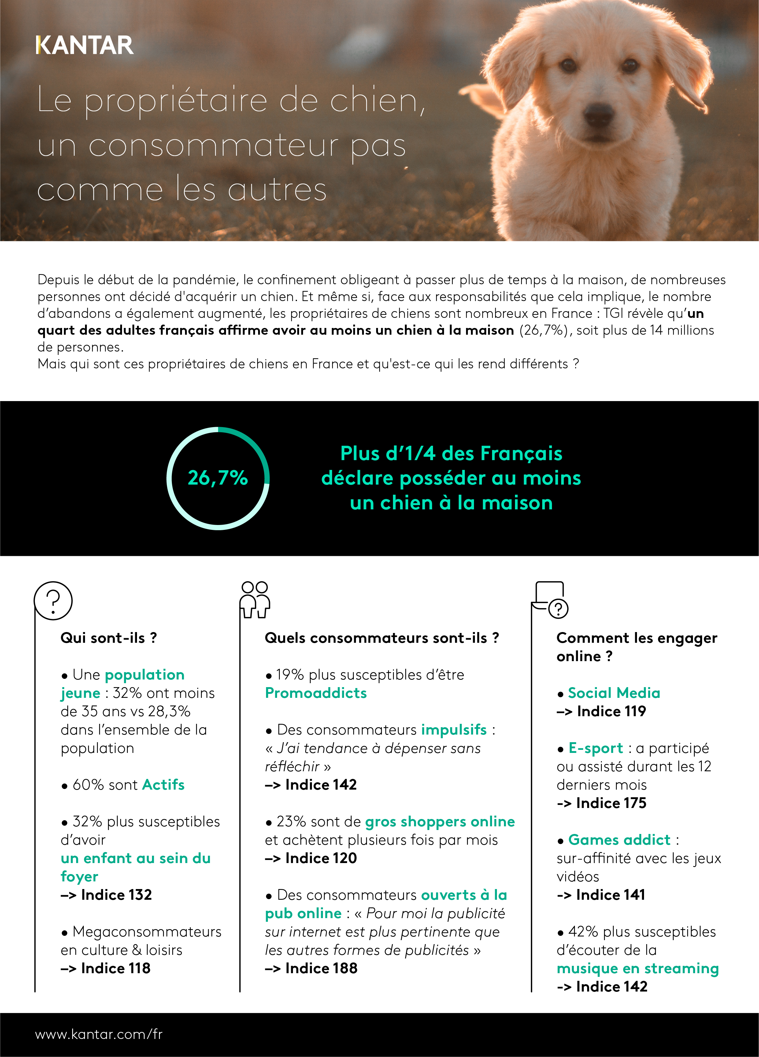 Infographie TGI chiens