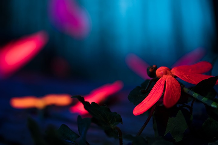Warc