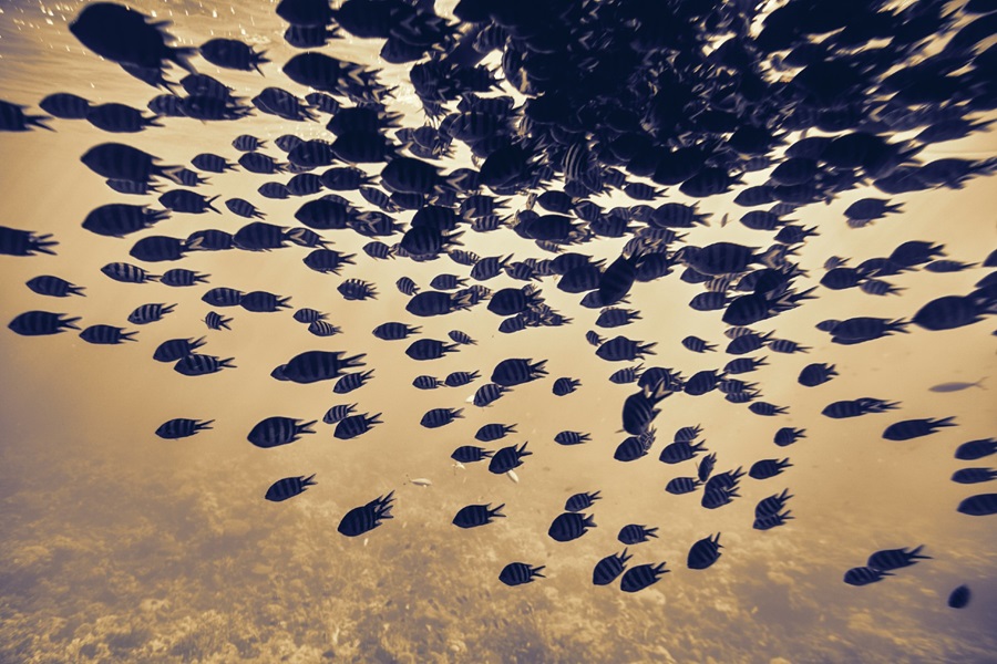 Sarà il Covid-19 a farci colmare il “payment divide”?