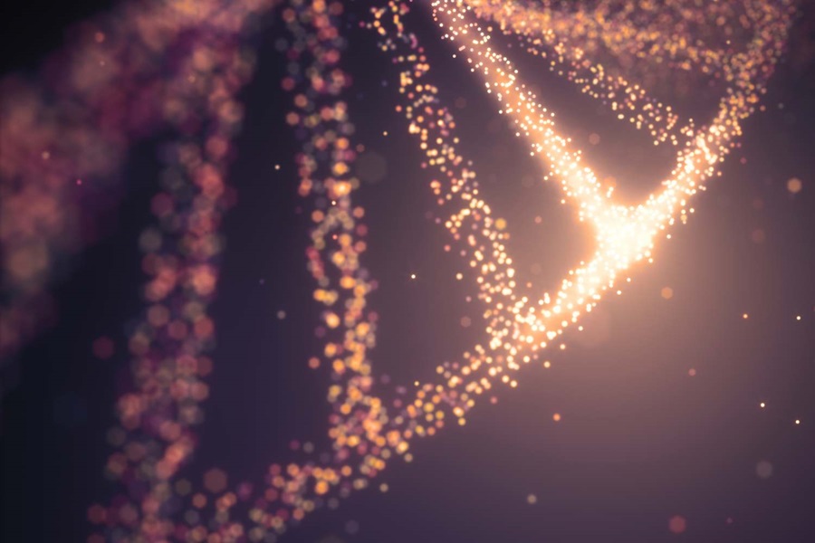 dna