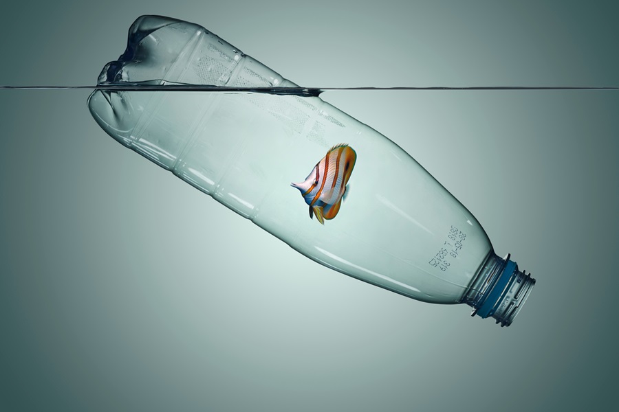Botella pez