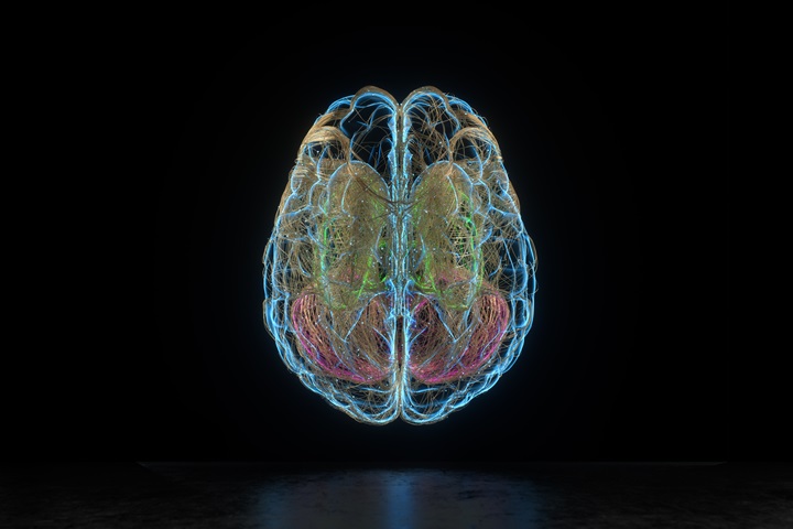 Neurociencia