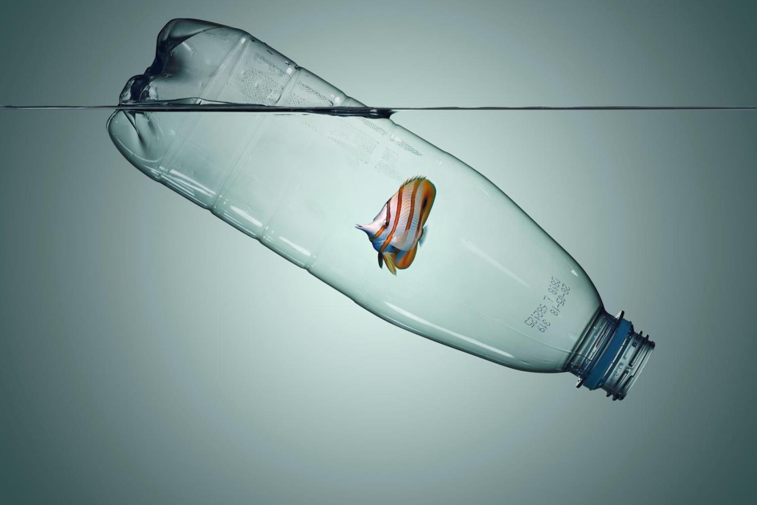 Pez Botella